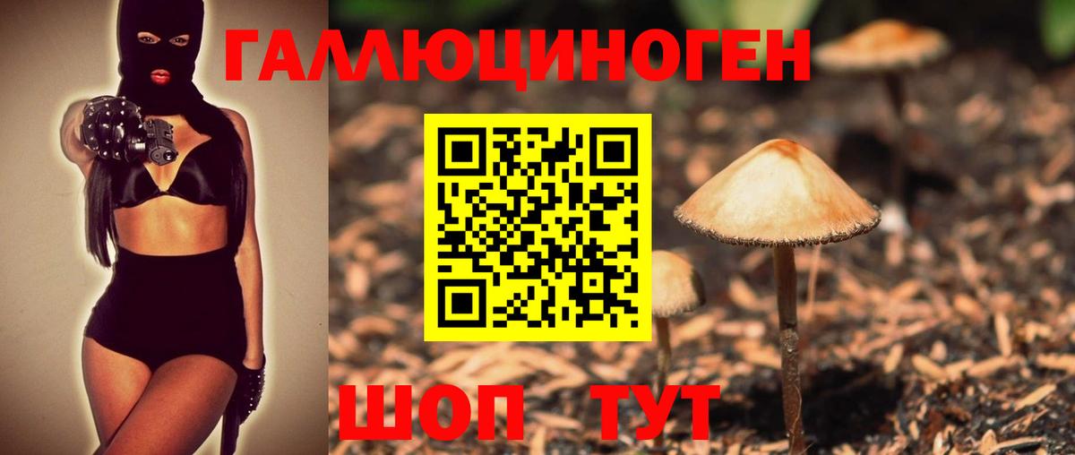 Псилоцибиновые грибы мицелий  Вход с VPN  Тайшет  Псилоцибиновые грибы GOLDEN TEACHER 